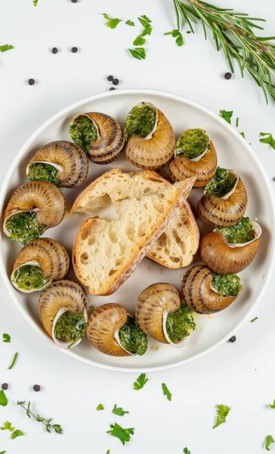 Эскарго — готовый продукт из улиток
